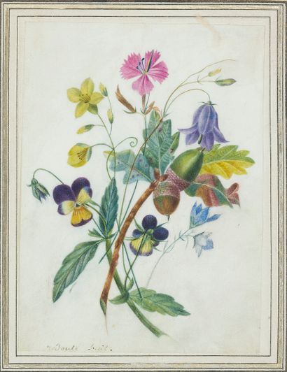 Pierre-Joseph REDOUTÉ (1759-1840).

Bouquet des champs. 

Aquarelle sur papier encadrée.... Gazette Drouot