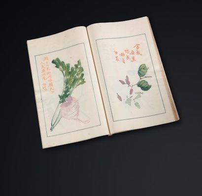 null Deux recueils de peintures chinoises et poèmes (Rong Bao Zhai Shi Jian Pu) des...