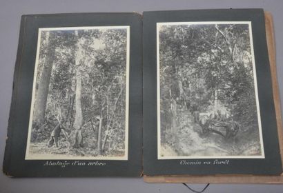 null 1915 - 1916. MACHINE in Saigon. [Forestry]

Arboretum of Trang-Bôm,1915-1916.

Set...