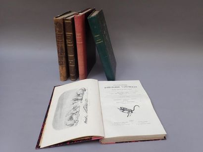 null CHENU (Dr Jean-Charles). Encyclopédie d'histoire naturelle 5 volumes : Paris,...