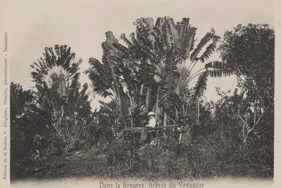 null 1920

L'arbre du Voyageur

Un ensemble de 7 tirages argentiques et cartes postales...