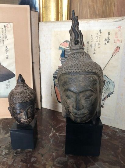 
Tête de Bouddha en bronze. Soclé. Cambodge....