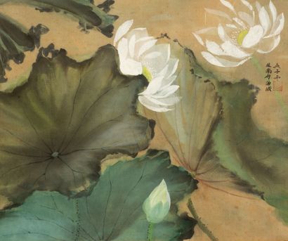 null WU ZISHEN.

Lotus en fleurs.

Deux peintures sur soie encadrées, signées encaractères...