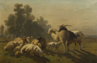 null Louis ROBBE (1806-1887)

Moutons, chèvre et bélier à la prairie

Huile sur toile....