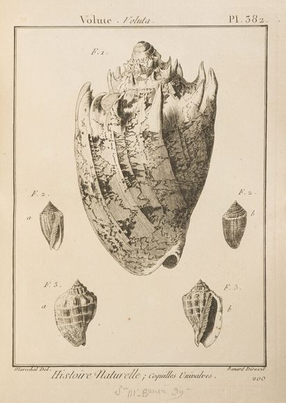 null [LAMARCK (Jean Baptiste Monnet de)]. Tableau encyclopédique et méthodique des...