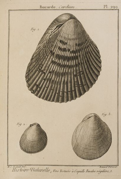 null [LAMARCK (Jean Baptiste Monnet de)]. Tableau encyclopédique et méthodique des...