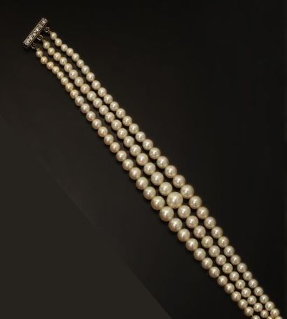 null Bracelet composé de trois rangs de perles de culture en légère chute. Diamètre...