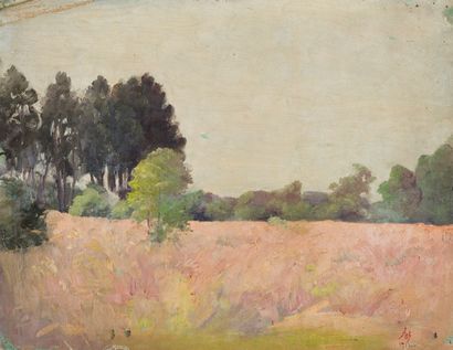 S.M HÀM NGHI (1871-1944).
Champs de blé.
Huile...