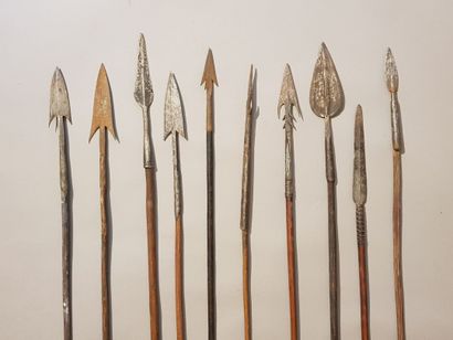 null Lot including: 
- 19 spears, DRC and Central African Republic. 
Length between:...
