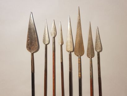 Lot including: 
- 9 Mahafaly spears, Madagascar....