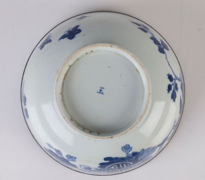 null Hué blue-white porcelain bowl decorated with butterflies, pomegranate branches...