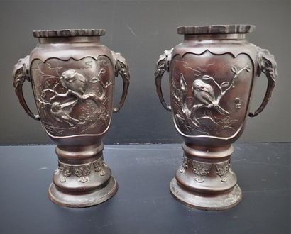 null Deux vases en bronze à patine brune formant paire orné de grands cartouches...