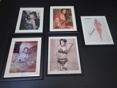 null 36 photographies encadrées d'actrices/modèles avec autographes originaux dont...