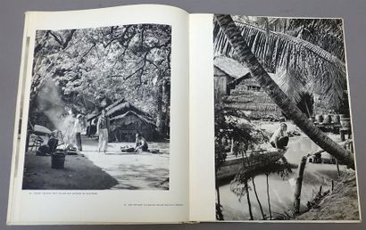 null 1951 

VIET-NAM 

Editions HOA-QUI, 1951. 

Couverture souple. 73 illustrations....