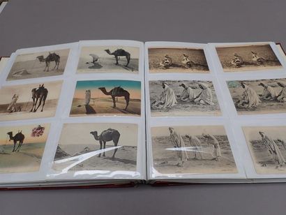 null 1900 

Cartes postales d'Algérie : Hommes, types, loisirs, rites et quelques...