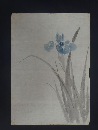 null Japon SHOWA(1926-1989)

Dessin à l'encre de chine ( noire et bleue) sur papier...