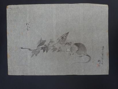 null Japon SHOWA (1926-1989)

Dessin à l'encre de chine sur papier de riz représentant...