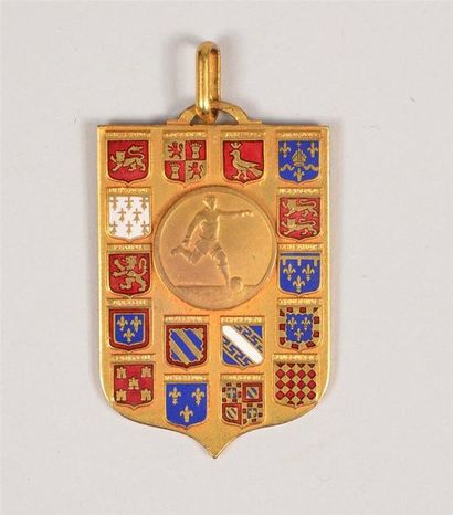 null Médaille commémorative de la Coupe des Provinces Françaises 1940-1941 sous l'égide...