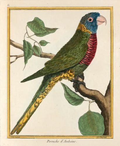 BUFFON Georges-Louis Leclerc comte de Histoire naturelle des oiseaux. Paris, Imprimerie...