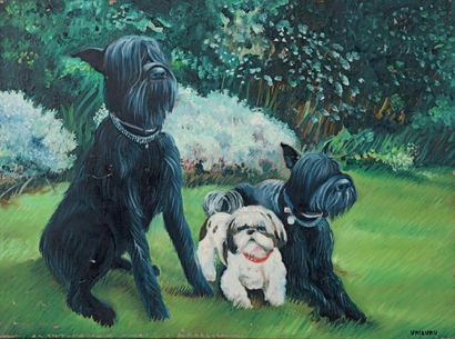 Nicola Garcia URIBURU (1937-2016) Portraits de chiens, deux schnauzers géants et...