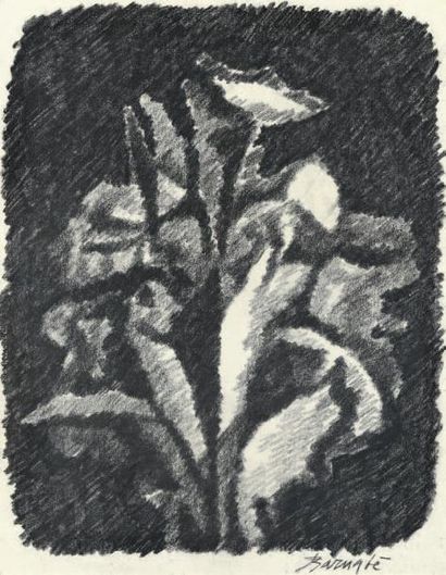 Duilio BARNABÉ (1914-1961) Bouquet
Fusain, signé en bas à droite.
58 x 45 cm