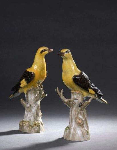 null MEISSEN, fin du XIXe siècle
Paire d'oiseaux en porcelaine posés sur un tronc...