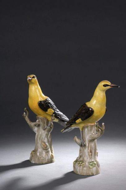 MEISSEN, fin du XIXe siècle Paire d'oiseaux...