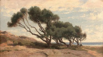 null Alexandre CALAME (1810-1864)
Paysage aux pins maritimes
Papier marouflé sur...