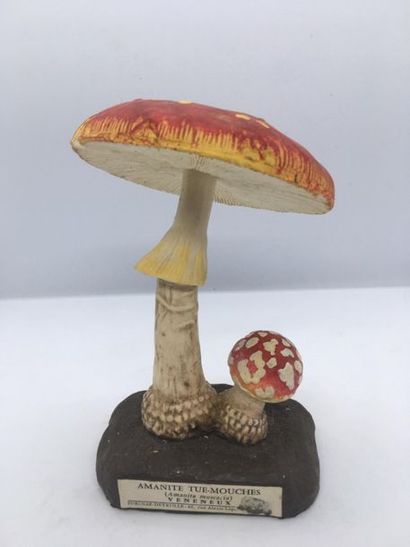 null DEYROLLE, circa 1960
Lot of 31 mushrooms in composition
including:
-Pluteus...