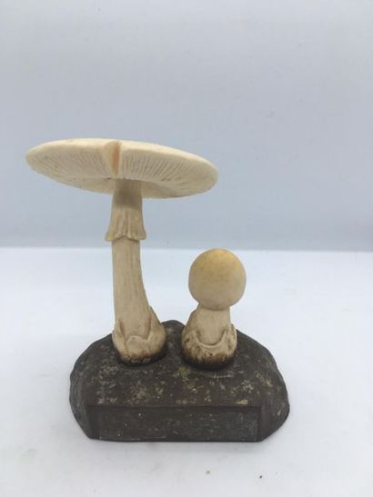 null DEYROLLE, circa 1960
Lot of 31 mushrooms in composition
including:
-Pluteus...