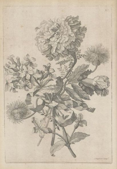 null D'après Jean-Baptiste MONNOYER, XVIIIe s.
Deux gravures de fleurs, encadrées...