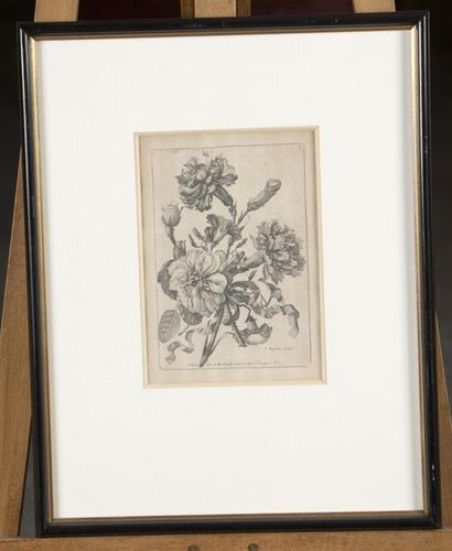 null D'après Jean-Baptiste MONNOYER, XVIIIe s.
Deux gravures de fleurs, encadrées...