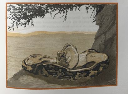 null Paul JOUVE (1878-1973)

Python Clutching an Antelope, 1908

Drawing for a plate...
