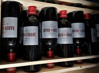 null BARON DE BRANE 2nd vin Ch. BRANE CANTENAC - Margaux 2015 -24 demi bouteille...