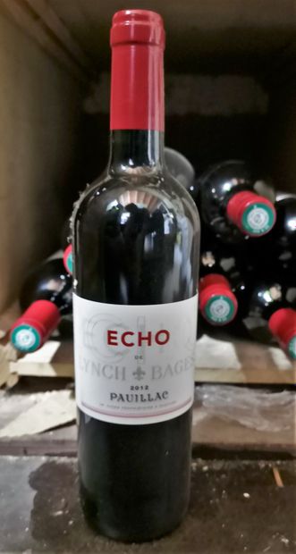 null ECHO de LYNCH BAGES 2nd vin de Ch. LYNCH BAGES - Pauillac 2012 -12 bouteill...