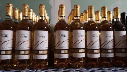 null CHÂTEAU VARI "vin bio"- Montbazillac 2016 - 38 bouteilles