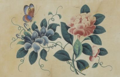  Deux peintures sur papier de riz encadrées 
Chine, Canton, début du XXe siècle 
Représentant...