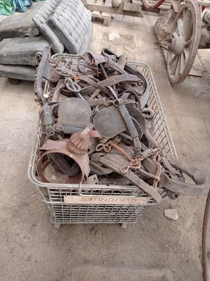 Lot of leather harness with bits and var...