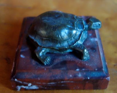 Petit SUJET en bronze Small bronze subject with a medal patina

representing a turtle,...