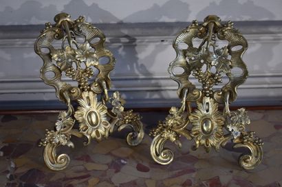 Pair of small chased and gilt bronze andirons...