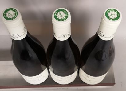  3 bouteilles SAINT AUBIN 1er Cru "Derrière Chez Edouard" - Hubert LAMY 2005