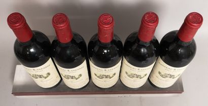  5 bouteilles Château LANESSAN - Haut Médoc 1995 Etiquettes très légèrement tach...