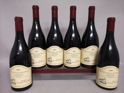  6 bottles NUITS SAINT GEORGES 1er Cru "La Richemone" Vielles Vignes - Christophe...