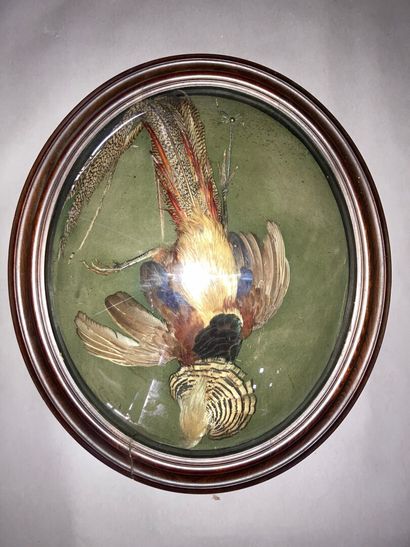 FAISAN VÉNÉRÉ FAISAN VENERE dans un cadre globe ovale, XIXe siècle

68 x 64 cm