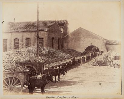 null Unidentified Argentinean engineer

CONSTRUCTION OF THE MENDOZA TO VALPARAISO...