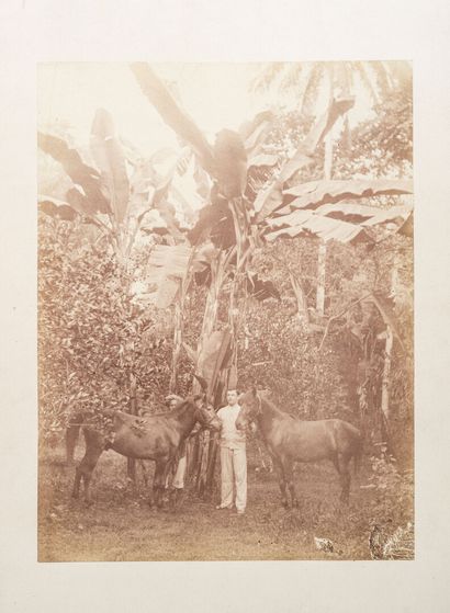 null Young Dutch traveller

EXPEDITION AND STAY, BATAVIA AND JAVA, 1890/1892

Personal...