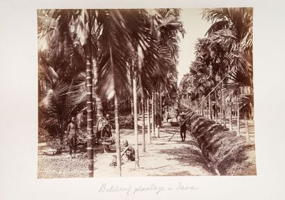 null Jeune voyageur batave

EXPEDITION ET SEJOUR, BATAVIA ET JAVA, 1890/1892

Archive...