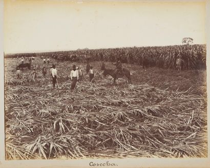 null Unidentified Argentinean engineer

CONSTRUCTION OF THE MENDOZA TO VALPARAISO...