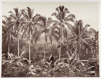 null Jeune voyageur batave

EXPEDITION ET SEJOUR, BATAVIA ET JAVA, 1890/1892

Archive...