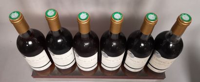 null Six bouteilles Château de COY - Sauternes 2002 

Étiquettes légèrement tachées....